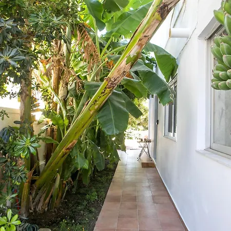Casaverde Appartement